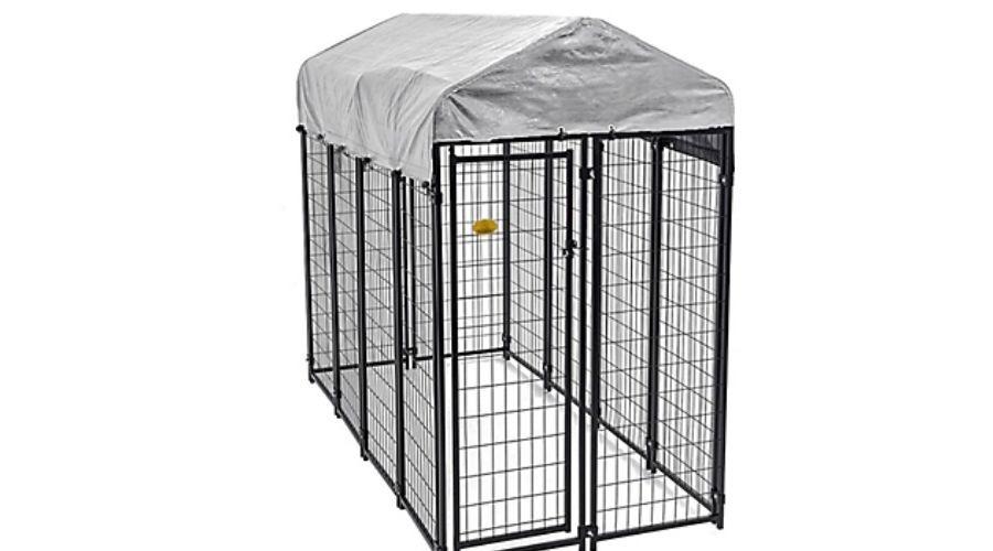 6 ft. x 4 ft. x 8 ft. Powder Coated Welded Wire Dog Kennel