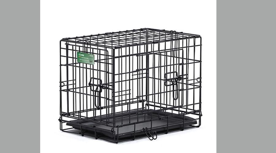 MidWest Homes for Pets: iPet Crate 2-Door Steel Dog Crate