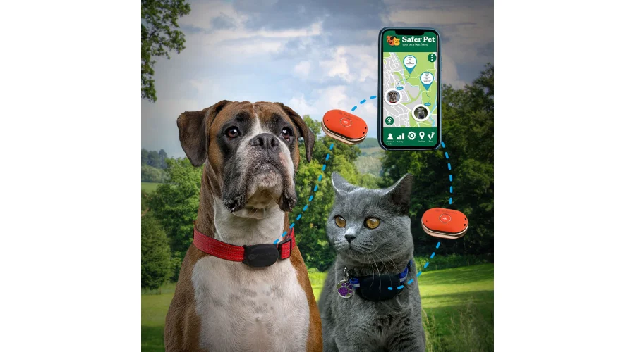 Safer Pet GPS tracker - Cat or Dog - Orange | neonpolice 