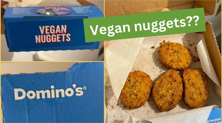 Plant based nuggets