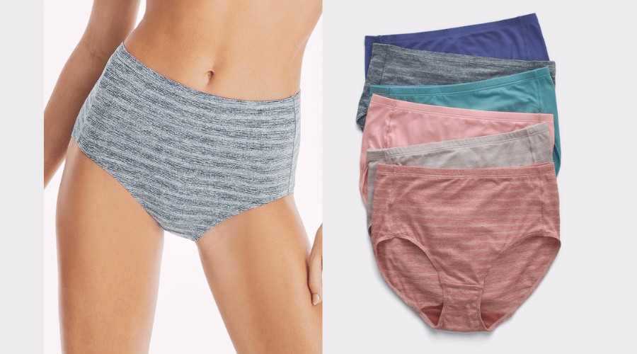 Hanes Pure Comfort Women’s Brief Underwear, Moisture-Wicking, 6-Pack  | Neonpolice
