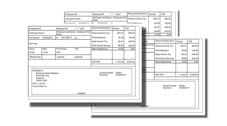 Pay stub generator 