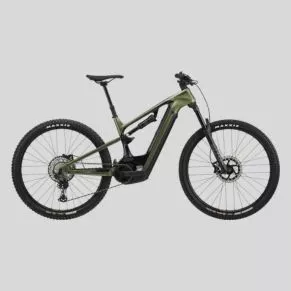 beginner adult bikes | Neonpolice