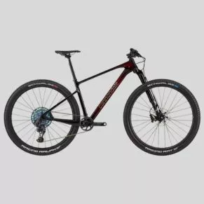 long distance bikes | Neonpolice