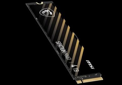 6 MSI M461 M.2 2280 2TB PCI-Express 4.0 3D NAND Internal Solid State Drive (SSD)
