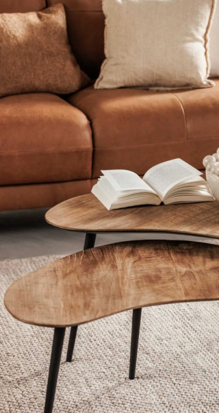 Lagom Set of 2 Coffee Tables (1)